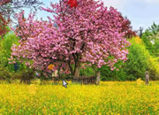 Fantasy Scenery Escape 2