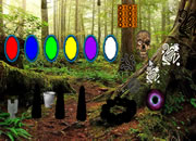 Portal Forest Escape