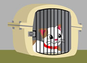 Free the cats 2