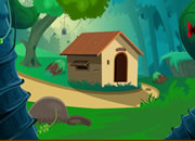 Blue Bird Hut Escape