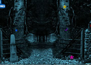 Mystery Forest
