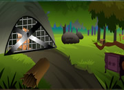 fox escape from cage