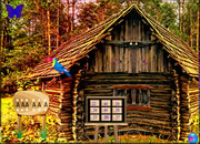 Woodland House Escape