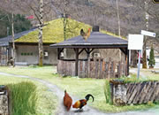 livestock farm escape
