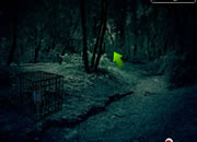 Dark Forest Fox Escape
