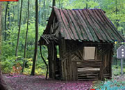 Greenful Forest Escape