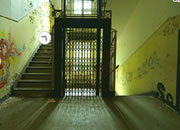 Escape From Sanatorium Dans Le Foret