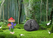 Escape Panda From Fire Forest