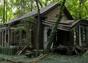 Abandoned Forest Train Route Escape