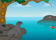 Big Tuna Fish Escape