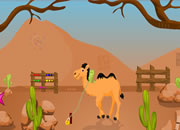 Hump Escape
