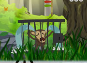Rescue The Monkey