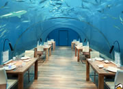 Underwater World Lounge Escape