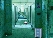 Escape From Kings County Asylum