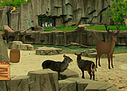 Wildlife Sanctuaries Escape