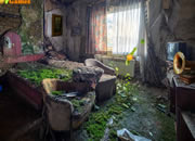 Abandoned Greenhouse Escape