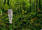 Deadly Jungle Escape