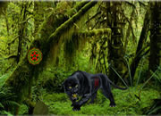 Jungle Book Forest Escape