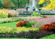 Escape From Beautiful Garden