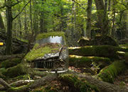 Abandoned