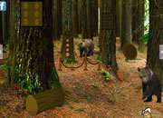 Bear Forest Escape