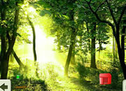 Escape Green Forest