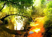 Spring Forest Escape