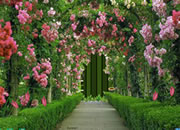 Awful Garden Escape