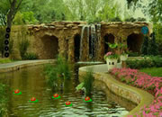 Arboretum Escape