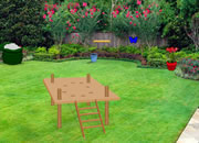 Lawn Backyard Escape