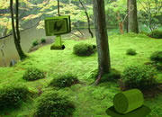 Peaceful Meadow Escape