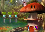 Amanita Mushroom Forest Escape