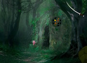 Enigmatic Forest Escape