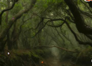 Occult Forest Escape