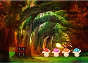 Amreli Forest Escape
