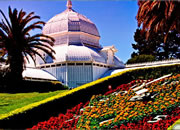 Escape Golden Gate Park