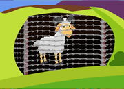 Sheep Rescue