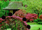 Seasonal Garden Escape