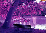 Pink Forest Escape