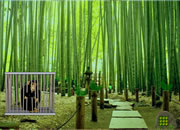 Bamboo Forest Monkey Escape