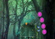 Sumter Forest Escape