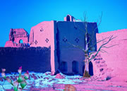 Desert Camel Escape