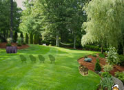 Landscape Lawn Escape