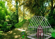 Forest Gorilla Cage Escape