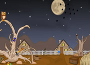 Desert Owl Rescue Escape