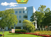 Office Lawn Escape