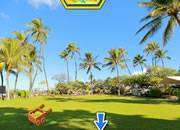 Office Lawn Escape 2