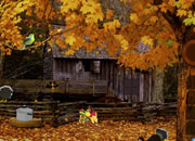 Mysterious Turkey Forest Escape
