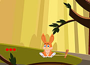 Yellow Rabbit Rescue