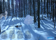 Alaskan Winter Forest Escape